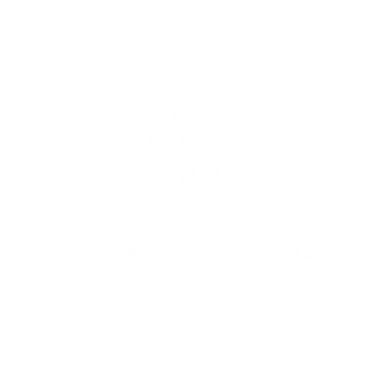 teamwork locksmith san antonio logo